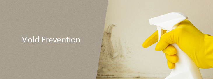 Mold Prevention