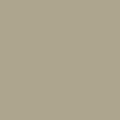 Silamide Thread - Light Grey