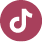 TikTok Icon