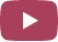 YouTube Icon